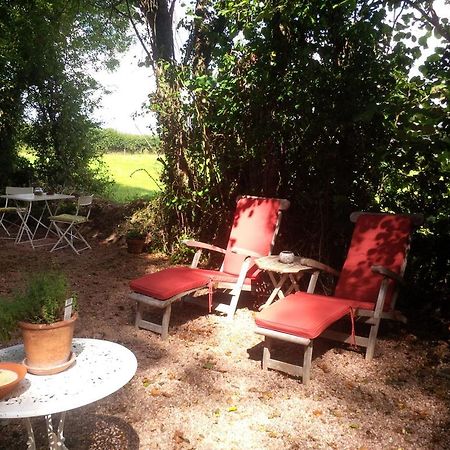 شقة The Potting Shed Little Torrington المظهر الخارجي الصورة