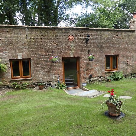 شقة The Potting Shed Little Torrington المظهر الخارجي الصورة