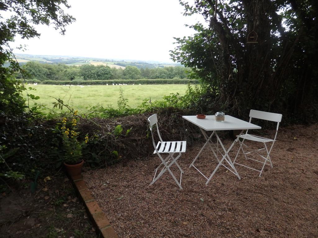 شقة The Potting Shed Little Torrington المظهر الخارجي الصورة